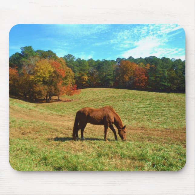 Alfombrilla De Ratón Caballo marrón rojo, cielo azul Verde azulado (Frente)
