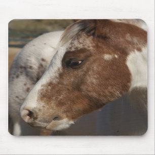 Alfombrilla De Ratón Caballo Mousepad