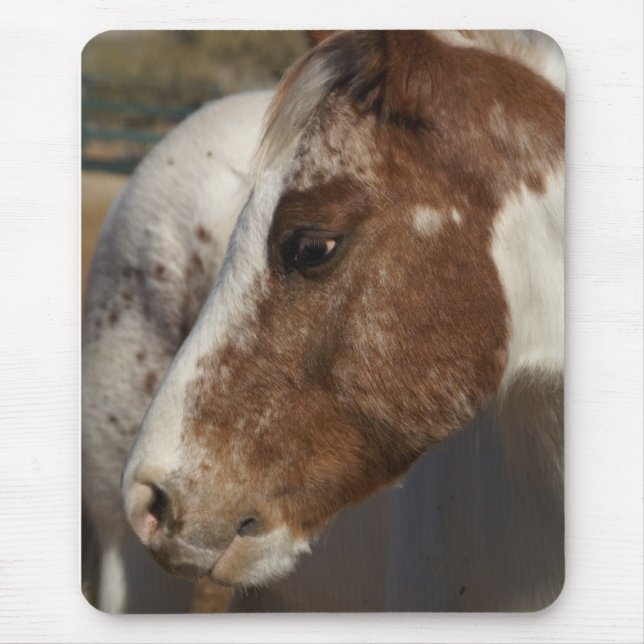 Alfombrilla De Ratón Caballo Mousepad (Frente)