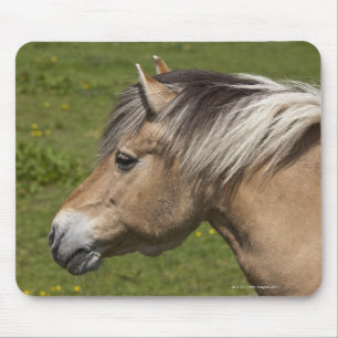 Alfombrilla De Ratón Caballo noruego del fiordo