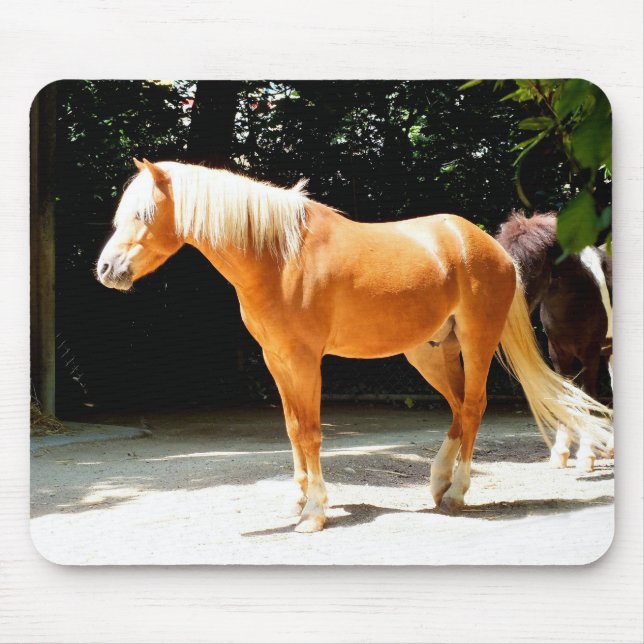 Alfombrilla De Ratón Caballo palomino (Frente)