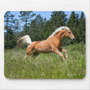 Alfombrilla De Ratón Caballo Palomino corriendo por una pradera