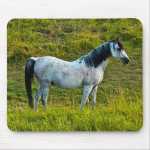 Alfombrilla De Ratón Caballo Palouse, Colfax, Área de Palouse, Washingt