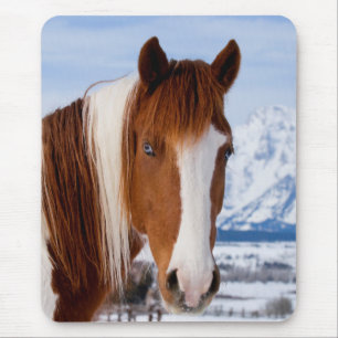 Alfombrilla De Ratón Caballo Pinto Monte Moran en Invierno
