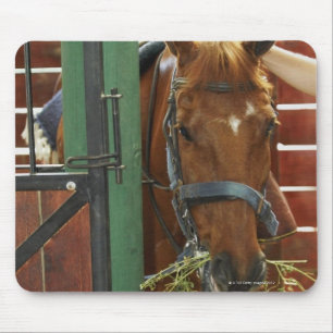Alfombrilla De Ratón Caballo que se coloca en un establo