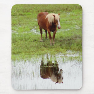 Alfombrilla De Ratón Caballo revisando su reflejo
