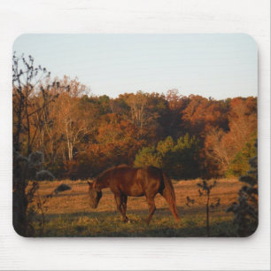 Alfombrilla De Ratón Caballo rojo marrón, bosque otoñal.