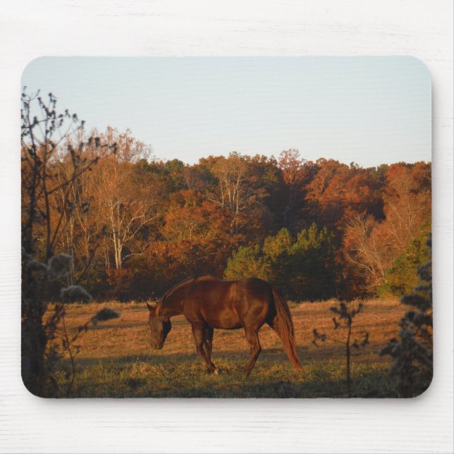 Alfombrilla De Ratón Caballo rojo marrón, bosque otoñal. (Frente)
