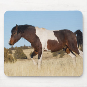 Alfombrilla De Ratón Caballo salvaje, montañas Steens