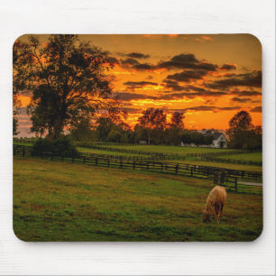 Alfombrilla De Ratón Caballo solitario al atardecer