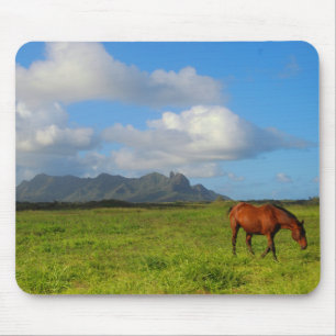 Alfombrilla De Ratón Caballo Vista de Kauai