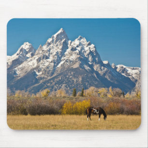 Alfombrilla De Ratón Caballo y Grand Tetons, Moose Head Ranch