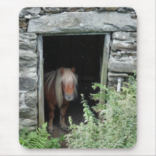 ALFOMBRILLA DE RATÓN CABALLOS