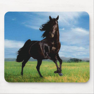 Alfombrilla De Ratón Caballos