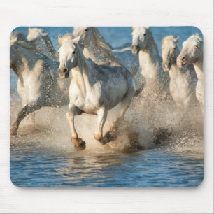 Alfombrilla De Ratón Caballos blancos de Camargue, Francia