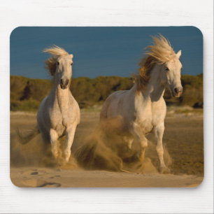 Alfombrilla De Ratón Caballos blancos que corren en la playa el  