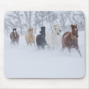 Alfombrilla De Ratón Caballos corriendo a través de la nieve