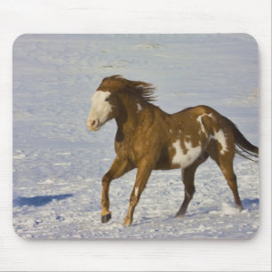 Alfombrilla De Ratón Caballos Corriendo en Nieve