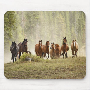 Alfombrilla De Ratón Caballos creyendo una pequeña colina durante el re