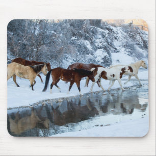 Alfombrilla De Ratón Caballos cruzando el arroyo