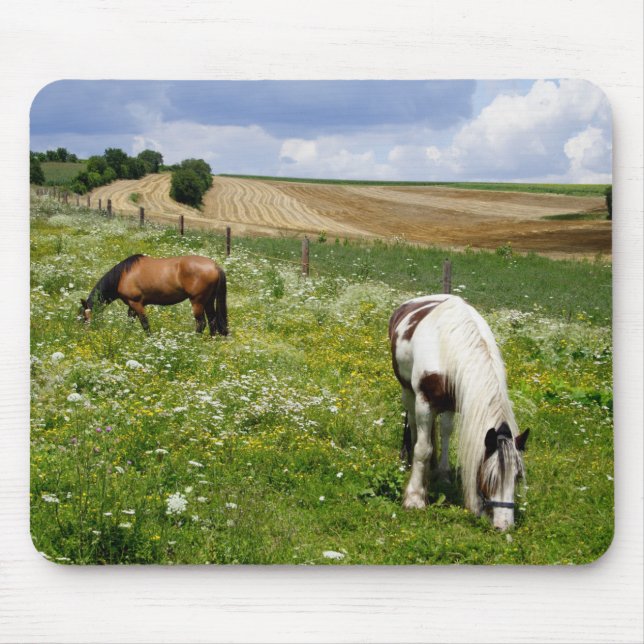 Alfombrilla De Ratón Caballos de afeitar (Frente)