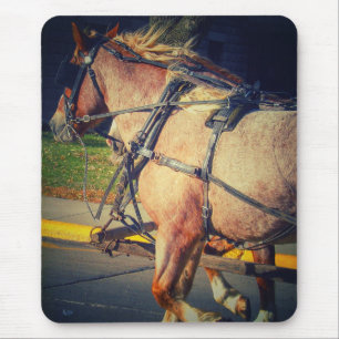 Alfombrilla De Ratón Caballos de bonito