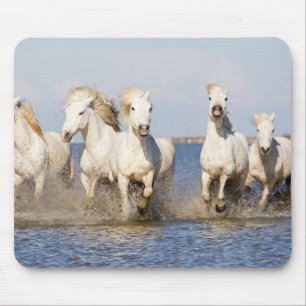 Alfombrilla De Ratón Caballos de Camarga