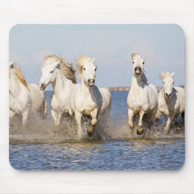 Alfombrilla De Ratón Caballos de Camarga (Frente)