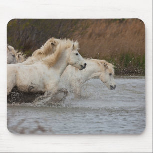 Alfombrilla De Ratón Caballos de Camarga Blanca corriendo en el agua