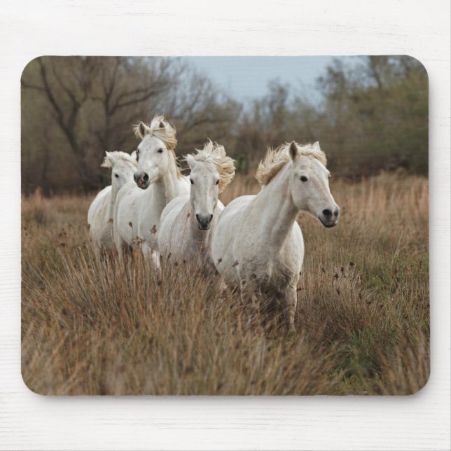 Alfombrilla De Ratón Caballos de Camargue corriendo (Frente)