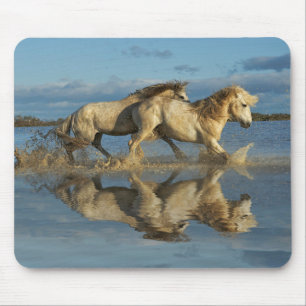 Alfombrilla De Ratón Caballos de Camargue y reflejo, sur de Francia