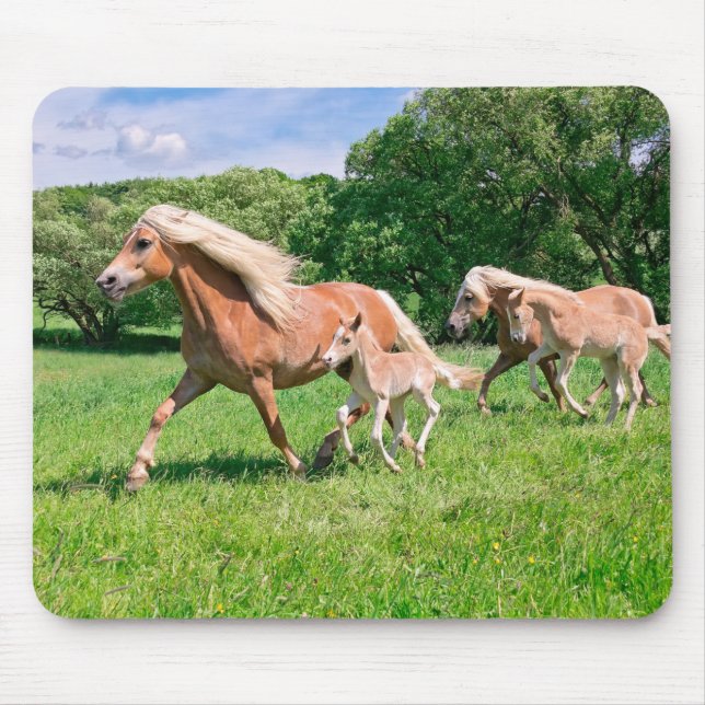 Alfombrilla De Ratón Caballos de Haflinger con burlas ricas de comida,  (Frente)