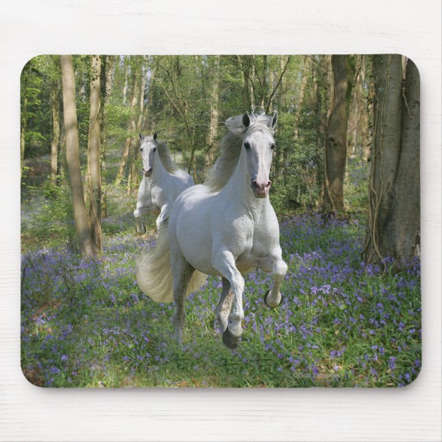 Alfombrilla De Ratón Caballos de la fantasía: Madera del Bluebell (Frente)