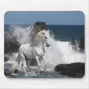 Alfombrilla De Ratón Caballos de la fantasía: Mares meridionales