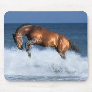 Alfombrilla De Ratón Caballos de la fantasía: Selle Francais y mar