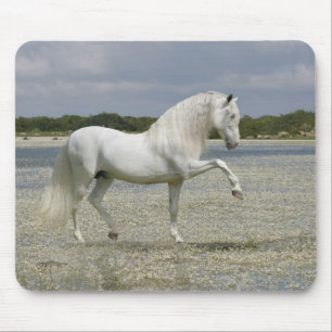 Alfombrilla De Ratón Caballos de la fantasía: Señor del lago