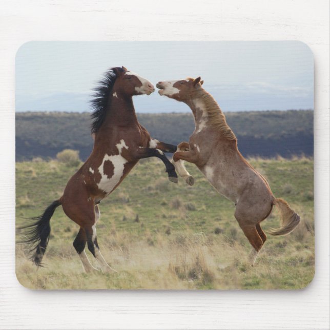 Alfombrilla De Ratón Caballos de pelea, Montañas Steens, Oregon (Frente)