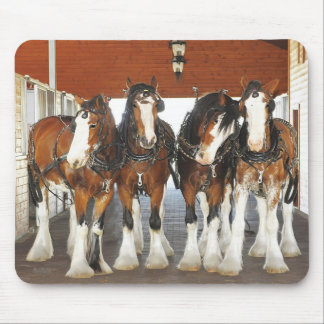 Alfombrilla De Ratón Caballos de proyecto de Clydesdale en el granero