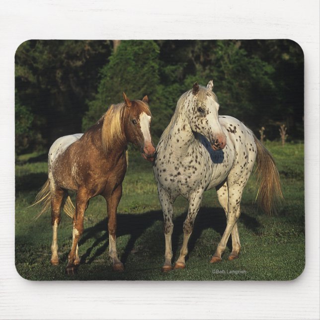 Alfombrilla De Ratón Caballos del Appaloosa (Frente)