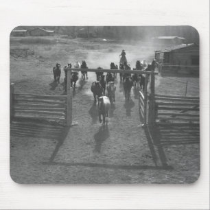 Alfombrilla De Ratón Caballos en el corral