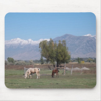 Alfombrilla De Ratón Caballos en el pasto