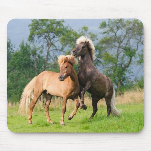 Alfombrilla De Ratón Caballos islandeses jugando y criando (Frente)