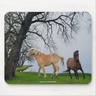 Alfombrilla De Ratón Caballos jugando en el Lago Animal Art Mousepad