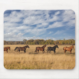 Alfombrilla De Ratón Caballos justo fuera del Parque Nacional Grand Tet
