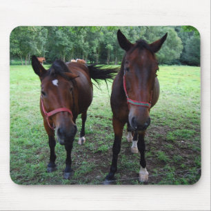 Alfombrilla De Ratón Caballos marrón oscuro en pastizal