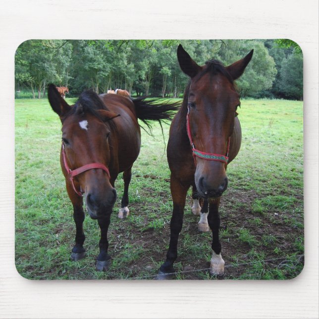 Alfombrilla De Ratón Caballos marrón oscuro en pastizal (Frente)