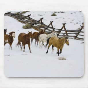 Alfombrilla De Ratón Caballos que corren en nieve