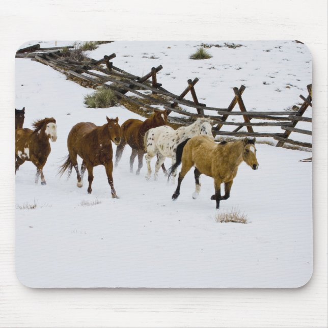 Alfombrilla De Ratón Caballos que corren en nieve (Frente)
