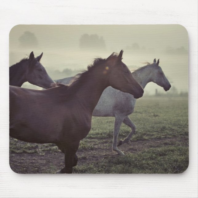 Alfombrilla De Ratón Caballos salvajes (Frente)
