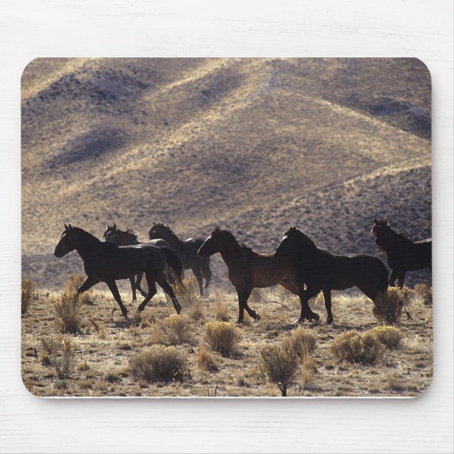 Alfombrilla De Ratón Caballos salvajes del mustango en el desierto 1 (Frente)